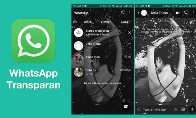 aplikasi Whatsapp transparan